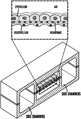 OG exemplary drawing