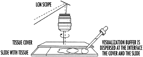 OG exemplary drawing