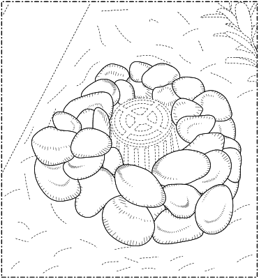 OG exemplary drawing
