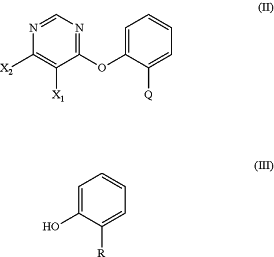 OG Complex Work Unit Chemistry