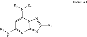 OG Complex Work Unit Chemistry