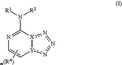 OG Complex Work Unit Chemistry