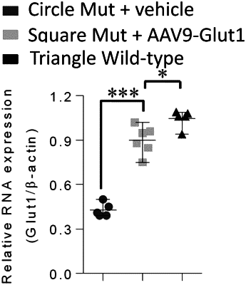 OG exemplary drawing