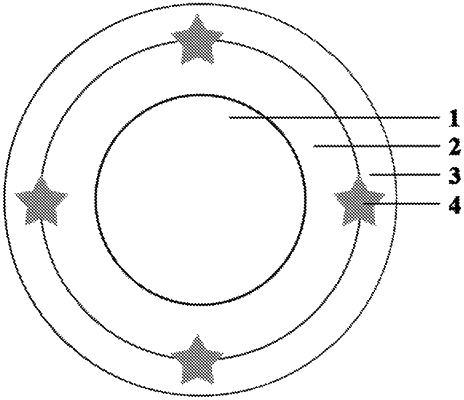 OG exemplary drawing