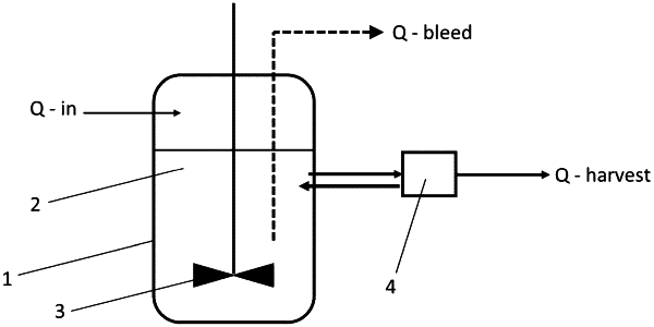 OG exemplary drawing